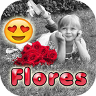 ikon Flores para todos