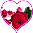 Rosas para mi amor APK