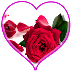 ikon Rosas para mi amor