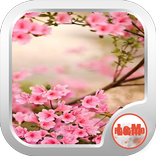 FLORES DE PRIMAVERA HERMOSAS