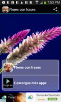 Flores con frases پوسٹر
