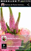 Ramos de flores hermosos bài đăng