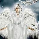 All Angels HD Wallpapers APK