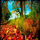 Amazing Desktop Wallpapers APK