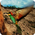 HD Pictures of Nature icon