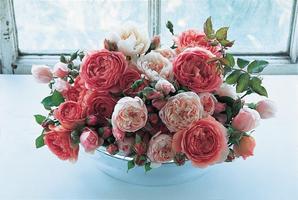 Beautiful Roses اسکرین شاٹ 2