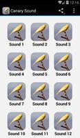 Canary Sound bài đăng