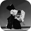 aulas de aikido APK