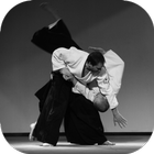 clases de aikido icono