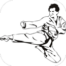 Karate-APK