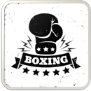 APK Boxing