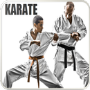 APK Karate