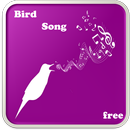 APK Uccelli canzone