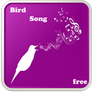 Oiseaux chanson APK