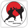 Karate Shotokan