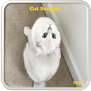 Cat Sounds APK