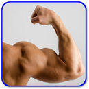 How to Get Big Arms APK