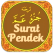 Surat Pendek Al Quran Full Offline