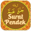 Surat Pendek Al Quran Full Offline APK