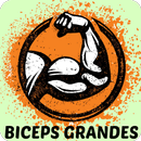 Ejercicios Para Bíceps APK