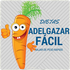 آیکون‌ Dietas para adelgazar fácil