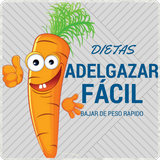 Dietas para adelgazar fácil アイコン