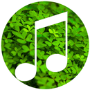 Suara Alam APK