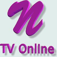 N TV Online Affiche