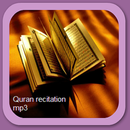 Beautiful recitation Quran MP3 APK