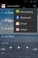 Saad Al Ghamdi Audio Quran screenshot 1