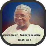 Tambayoyi da Amsa Zeichen