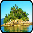APK Island Wallpapers