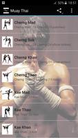 Learn Muay Thai Plakat
