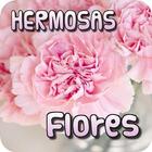 Imágenes de flores variadas biểu tượng