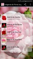 پوستر Imágenes de flores variadas