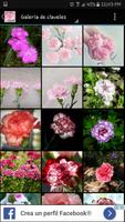 Imágenes de flores variadas ảnh chụp màn hình 1