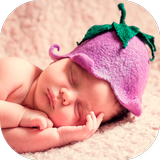 Mi Bebé en Desarrollo icon