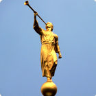 Medios SUD icon
