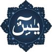 Surah Yasin (Listen Offline)