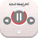 اغاني الدبكة اللبنانية APK