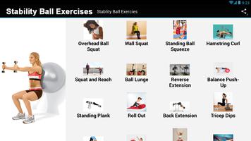 2 Schermata Stability Ball Exercises