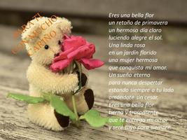 Frases de amor پوسٹر