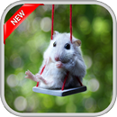 Cute Hamster Wallpapers aplikacja