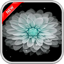 Galaxy Flowers Live Wallpapers aplikacja