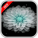 Galaxy Flowers Live Wallpapers-APK