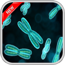 DNA Live Wallpapers APK