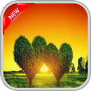 Greenfield Live Wallpapers APK