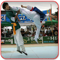 Taekwondo Kata