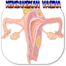 Kencangkan Vagina APK