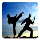 Karate ikona